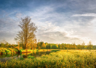 Obraz premium Spring bright landscape of meadow and scenery shore of river with trees and green grass. Rural natural scene. Nature background. Warm sunlight on grass on meadow. Forest shining on horizon from sun.