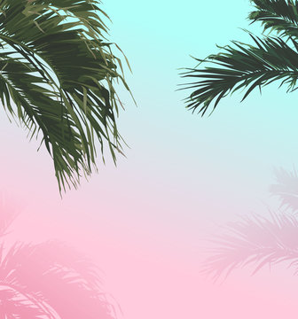 palm sweet pastel summer background