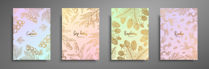 Gold colorful collection of cards design with berries. Vintage gold frame with berries illustrations - currant, goji berries, raspberry, rosehip. Great design for natural and organic products.
