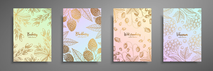 Gold colorful collection of cards design with berries. Vintage gold frame with berries illustrations - barberry, viburnum, blackberry, wild strawberry. Great design for natural and organic products.