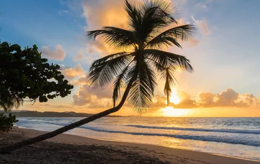 Crédence de cuisine en verre imprimé Anse Source D'Agent, île de La Digue, Seychelles Le coucher du soleil sur l& 39 île de la Martinique, Antilles françaises.