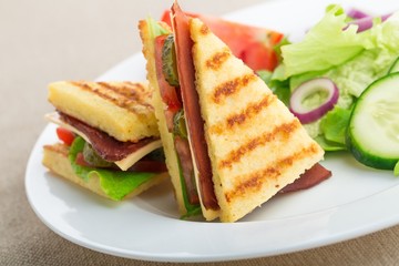 Fresh appetizing sandwich with vegetables