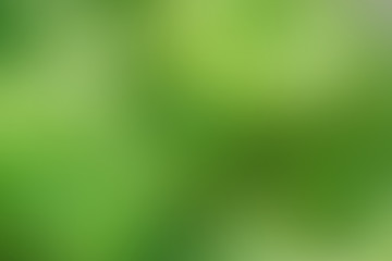 Gradient abstract background green, grass, meadow, lawn, field, backyard with copy space