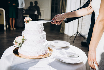 Wedding cake. Newlyweds slice their beautiful and delicious wedding cake together