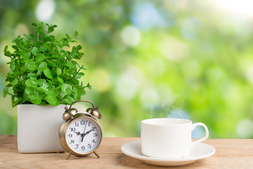 Fototapeta na wymiar Flower, alarm clock and coffee cup. Morning background