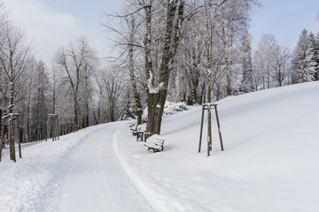 Road in the mountains covered with snow. Winter landscape. The concept of freedom and movement.