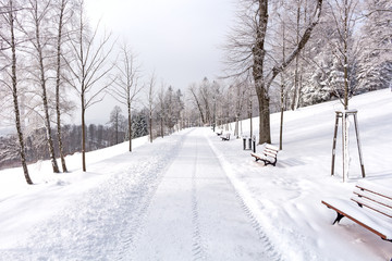 Road in the mountains covered with snow. Winter landscape. The concept of freedom and movement.