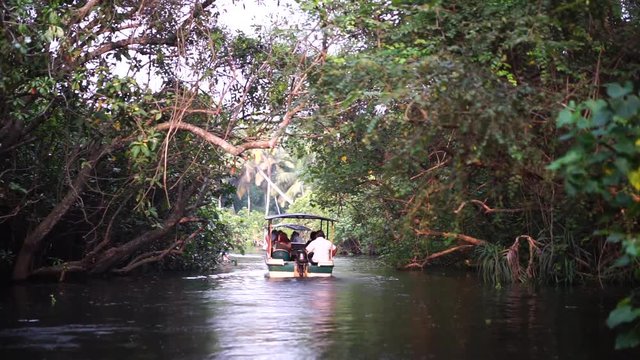 Boat and Palm tree backwater in India Timelapse