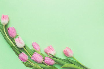 Top view of gentle pink tulips on light green background with copy space. Beautiful spring background for International Womens day, Mother's day, March 8, Valentines day