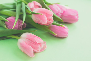 Gentle bouquet of fresh pink tulips on light green background with copy space. International Womens day, Mother's day, March 8, Valentines day concept