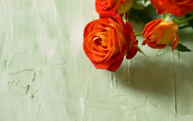 Orange or red and yellow little roses on green background