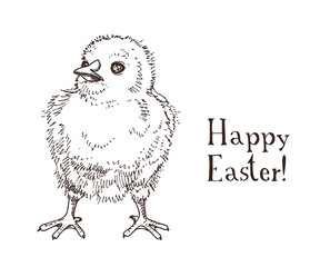 Hand drawn black and white easter gift card with little chick. Greate holiday doodle vintage illustration with funny yellow bird