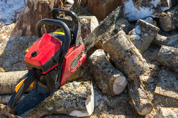 Chainsaw and piled fresh birch firewood
