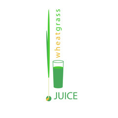 Wheatgrass juice. A glass with a drink, a green sprout and a seed. Vector illustration.