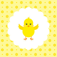 Chick. Vector. Flat.