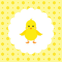 Chick. Vector. Flat.