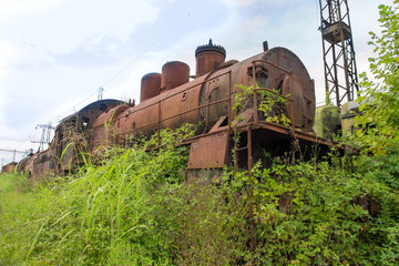 Abandoned train. Abandoned railway. Old rusty steam locomotive overgrown by plants