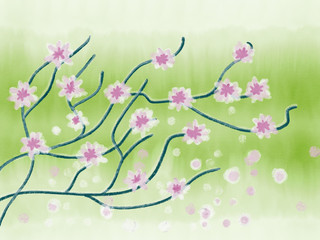 Colorful hand drawn abstract sakura tree branches on texture watercolor green background, illustration of pink japanese flowers painted by pastel pencil chalk and watercolor on canvas, high quality