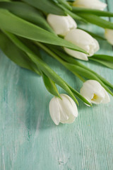Fototapeta na wymiar white tulips on turquoise surface