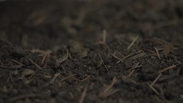 A super slow motion shot of coins falling onto the ground dirt and dust. Shot of an Easter short film