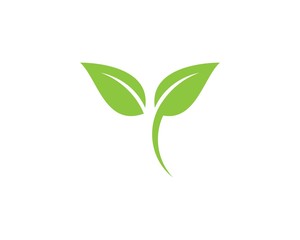 green leaf ecology nature element