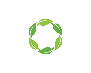 green leaf ecology nature element