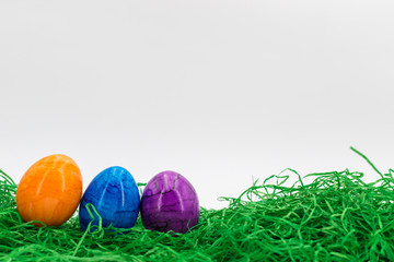 Row of Easter eggs in Fresh Green Grass