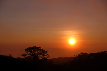 Fototapeta na wymiar Sunset in the jungle
