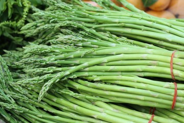 asparagus bunch at the market
