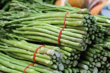 asparagus bunch at the market