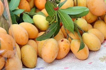 Thai plango fruit or marian plum