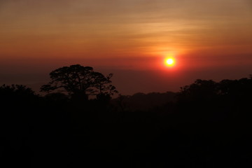 Sunset in the jungle
