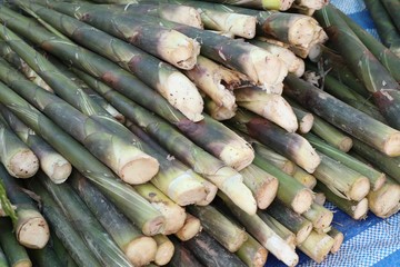 Bamboo shoot at street food