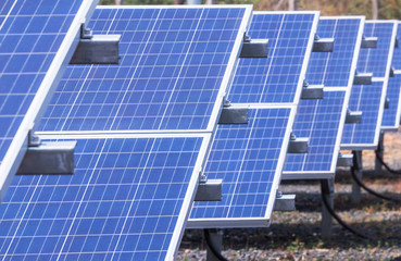 Close up rows array of polycrystalline silicon solar cells or photovoltaics in solar power plant...