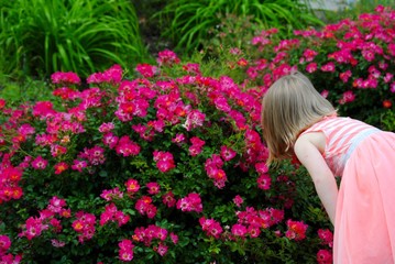 Smell the Flowers