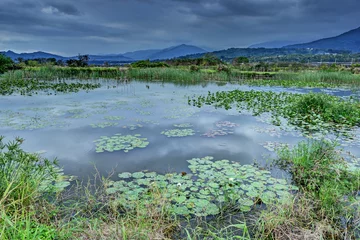Foto op Plexiglas Xinliang wetland in Taitung,Taiwan © lcc54613