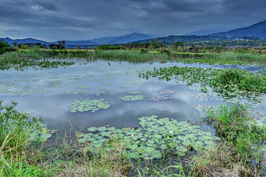 Xinliang wetland in Taitung,Taiwan