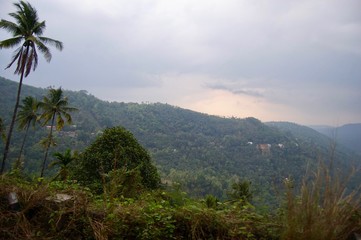 Fototapeta na wymiar Magnificent valley view in Kerala (rural India): Landscape with idyllic unspoilt nature, trees forming a lush green jungle and a foggy sky creating a tranquil scenery