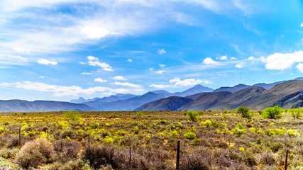 The Little Karoo region of the Western Cape Province of South Africa with the majestic Grootswartberg Mountains on the horizon