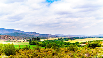 Fototapeta na wymiar View of the Olifantsrivier valley along highway 62 between the towns of De Rust and Oudtshoorn in the Little Karoo region of the Western Cape Province of South Africa