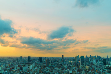 Naklejka premium Twilight cityscape panorama.