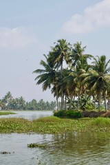 Scenic backwaters in rural Kerala (India) with tropical palm trees, untouched nature, aquatic plants and a waterway leading to Kochi and Alleppey