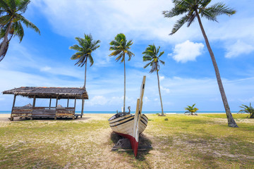 Palm and tropical beach. Beautiful nature landscape with Coconut Palm trees, traditional boat on white sandy beach