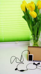 Yellow tulips, player and notepad