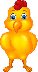 cute little chicken cartoon standing with smiling