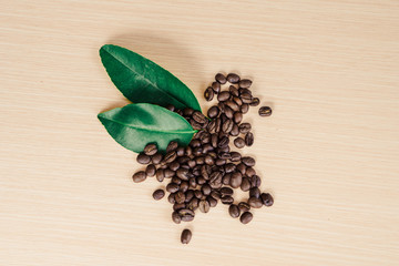 Coffee leaf and coffee beans on the wooden table.