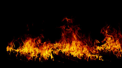Fototapeta na wymiar Fire flames on a black