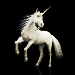 Unicorn majestic mythical horned horse on a black background. 3d rendering 