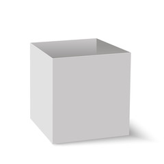 Blank of box perspective view. Vector.
