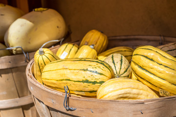 yellow squash in wooden basket 